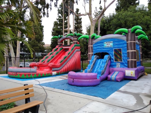 Palm Tree Water Slide Rental Los Angeles L.A Inflatables Rental